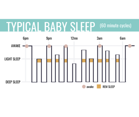 typical baby sleep cycle